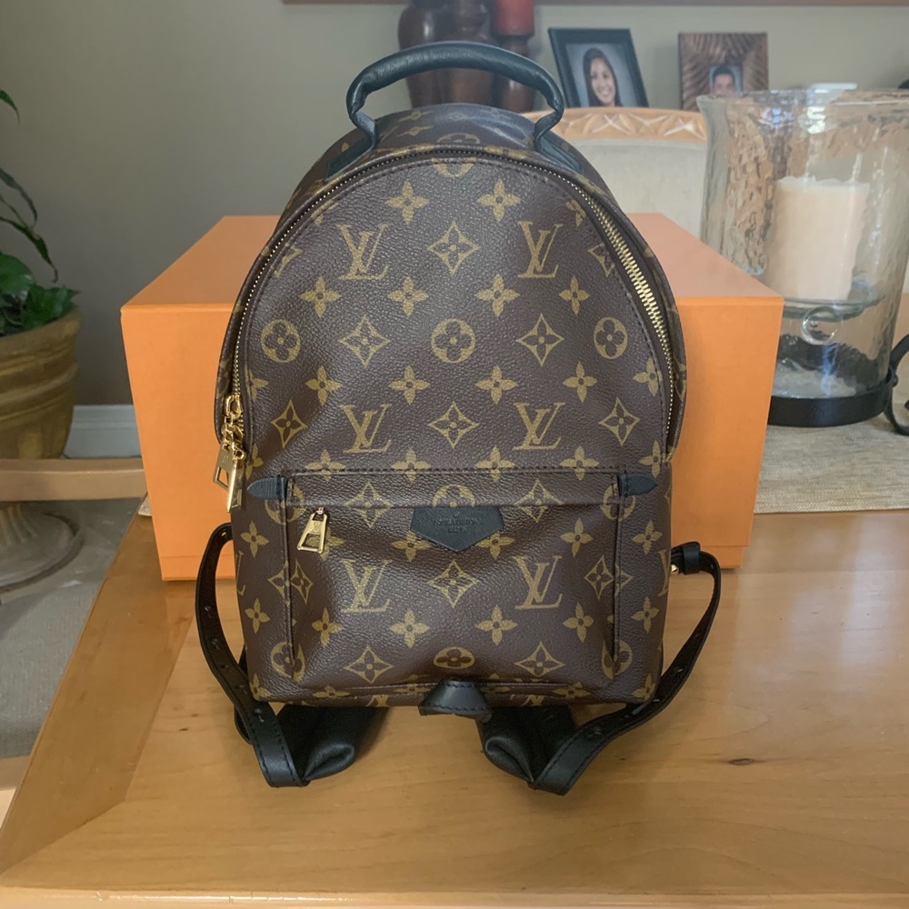 Louis Vuitton Palm Springs Backpack PM